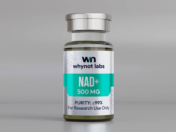 WhyNot Labs NAD+ 500mg lyophilized research compound vial with tamper-evident cap, third-party tested, research use only